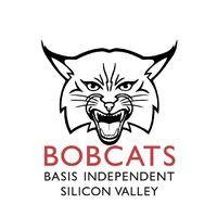 basis independent silicon valley logo image