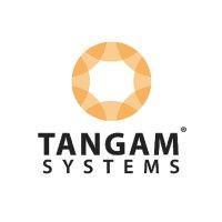 tangam systems logo image