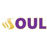 soul programs logo image