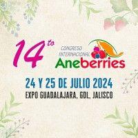 aneberries logo image