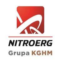 nitroerg s.a. logo image