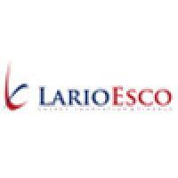 larioesco srl logo image