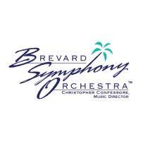 brevard symphony orchestra logo image