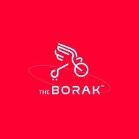 borak services limited