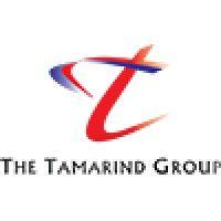 tamarind management ltd logo image