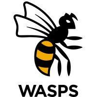 wasps logo image