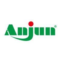 anjun logo image