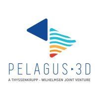 pelagus 3d logo image