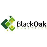 black oak analytics logo image