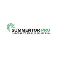 summentor pro business consultants logo image