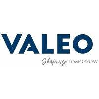 valeo construction group logo image