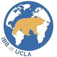 international bruins in business at ucla (ibb) logo image