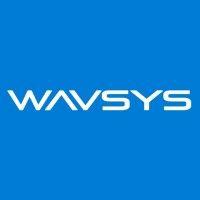 wavsys logo image