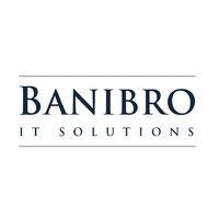 banibro it solutions private limited logo image