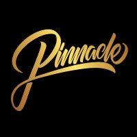 pinnacle brand logo image