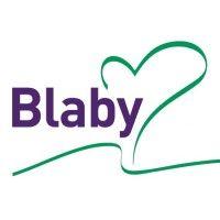 blaby district council logo image