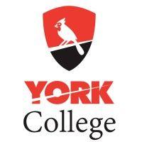 york college of the city university of new york logo image