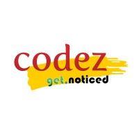 codezin technology solutions private limited