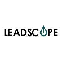 leadscope - b2b online marketing logo image