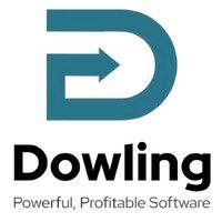 dowling data consulting logo image