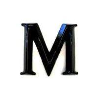 m-focus, ltd. logo image