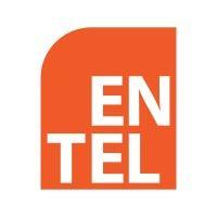 entel holdings logo image