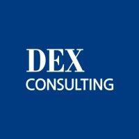 dex(digital experts). logo image