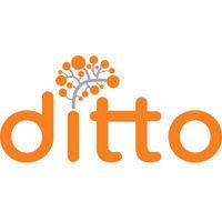 ditto ai limited