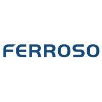 ferroso logo image