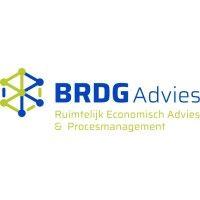 brdg advies logo image