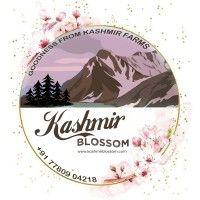 kashmir blossom logo image