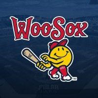 worcester red sox logo image