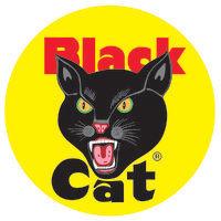 black cat fireworks usa logo image