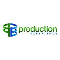 production experience logo image