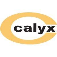 calyx chemicals & pharmaceuticals ltd. logo image