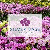 silver vase