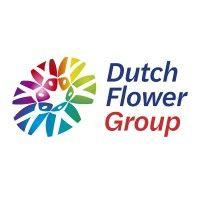 dutch flower group logo image