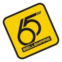 groupe bellemare logo image