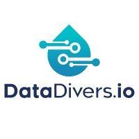 datadivers.io