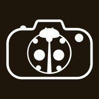 spotted photography logo image