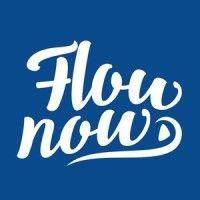 flow now logo image