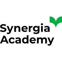 synergia academy logo image