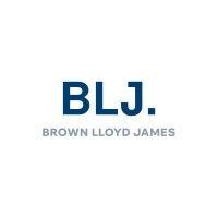 blj worldwide logo image