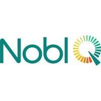 nobl q (previously erp logic) logo image