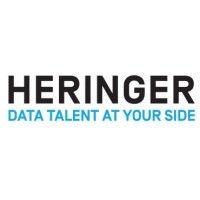 heringer consulting gmbh logo image