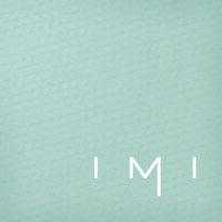 imi agency logo image