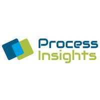 process insights gmbh logo image