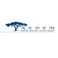 kedem insurance consultant logo image