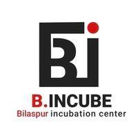 b. incube logo image