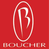 boucher automotive group logo image